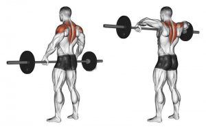 Are barbell front raises effective?