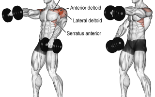 Is barbell front raise good?