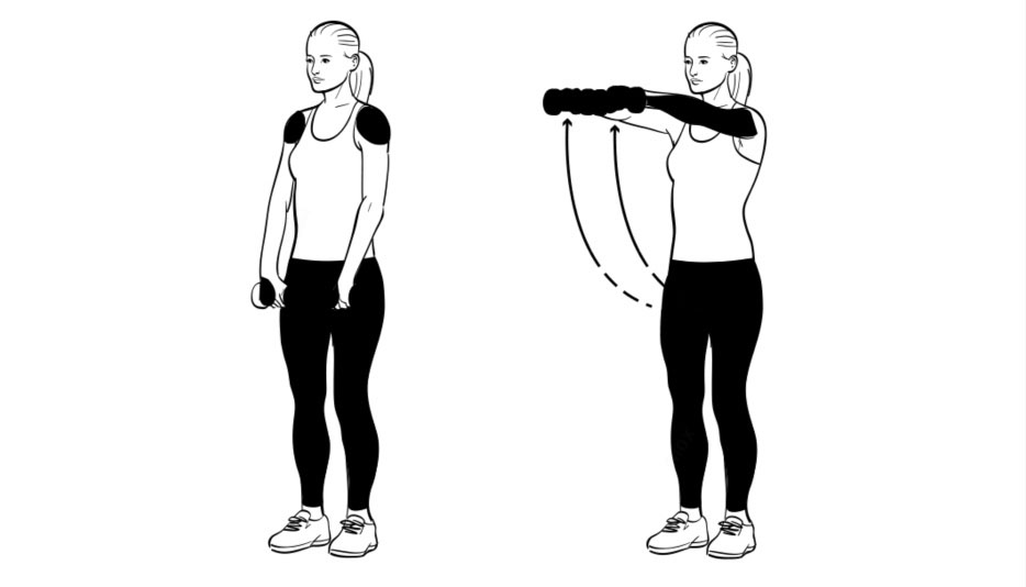 How The Front Raise Exercise Muscles Worked Barbell Front Raise