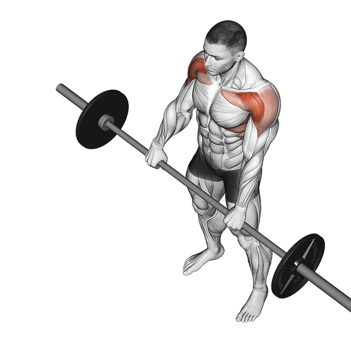 Are front raises good for shoulders?