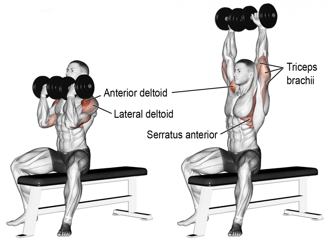 How To Perform A Front Shoulder Raise Barbell Front Raise