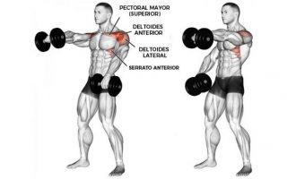 Isolating the anterior deltoid muscle