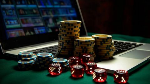 Explore the Thrill of Savanna Wins Casino